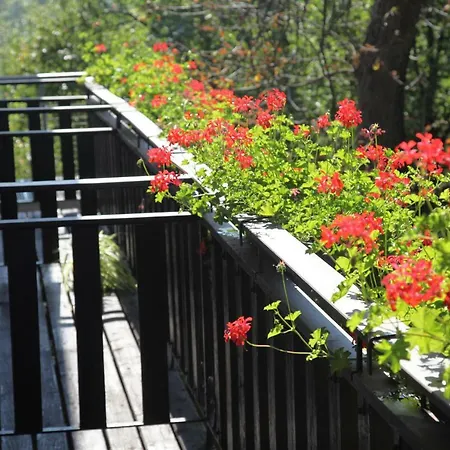 China Restaurant Zum Neuen Fassl Bed & Breakfast *